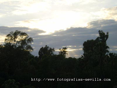 The Maria Luisa's Park of Seville, sunset