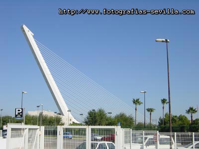 Alamillo Bridge