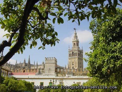 Seville, the Giralda: the Cathedral's Tower