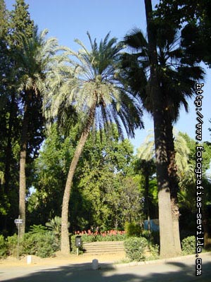 The Maria Luisa's Park of Seville, Spain