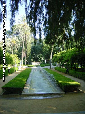 foto: parque de María Luisa de Sevilla