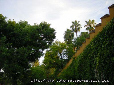 Alc�zar de Sevilla