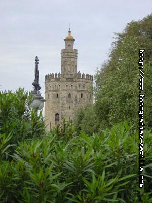 Seville, the Tower of Gold (Torre del Oro)