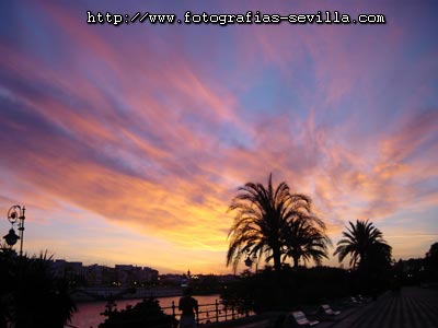 Seville, sunset from the Paseo Colon