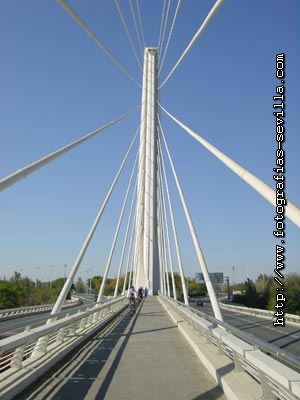 Alamillo Bridge of Seville