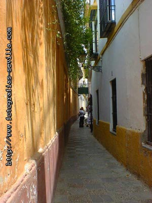 foto: barrio de Santa Cruz