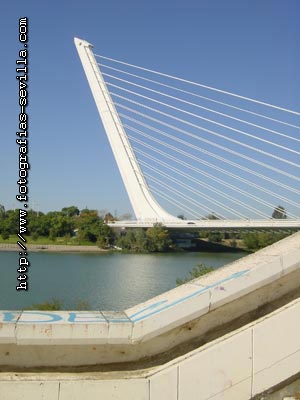 Alamillo Bridge of Seville