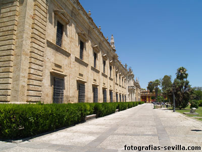 Universidad de Sevilla, fachada este