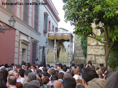 Palio de Santa Cruz de la Semana Santa de Sevilla