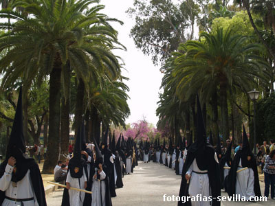 Nazarenos de Santa Genoveva, Semana Santa de Sevilla