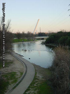 Parque y puente del Alamillo de Sevilla