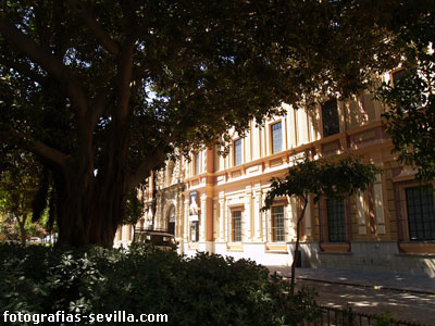 foto: Sevilla, plaza del Museo