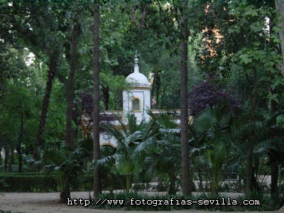 foto: parque de María Luisa de Sevilla