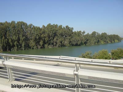 Vista de la ribera del Guadalquivir desde el puente del Alamillo