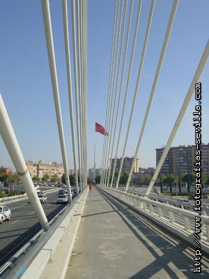 Puente del Alamillo de Sevilla